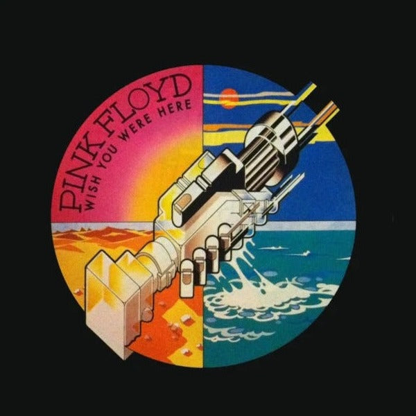 PInk Floyd wish you were here vinyl album